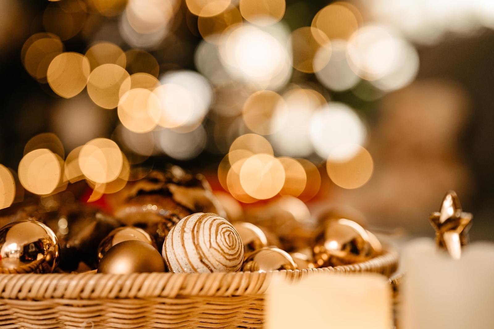 WhatsApp Image 2024-11-23 at 17.34.59